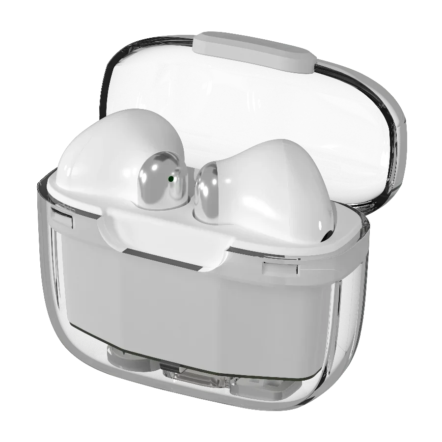 Snap Earbuds