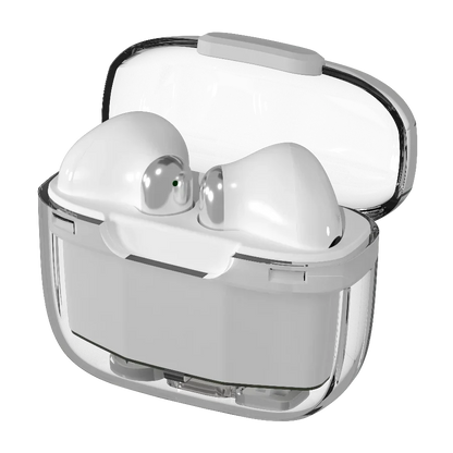 Snap Earbuds
