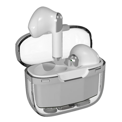 Snap Earbuds